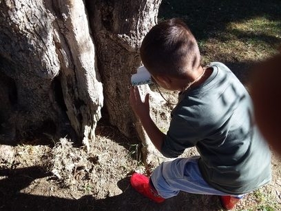 Alla scoperta dell'esploratore perduto!